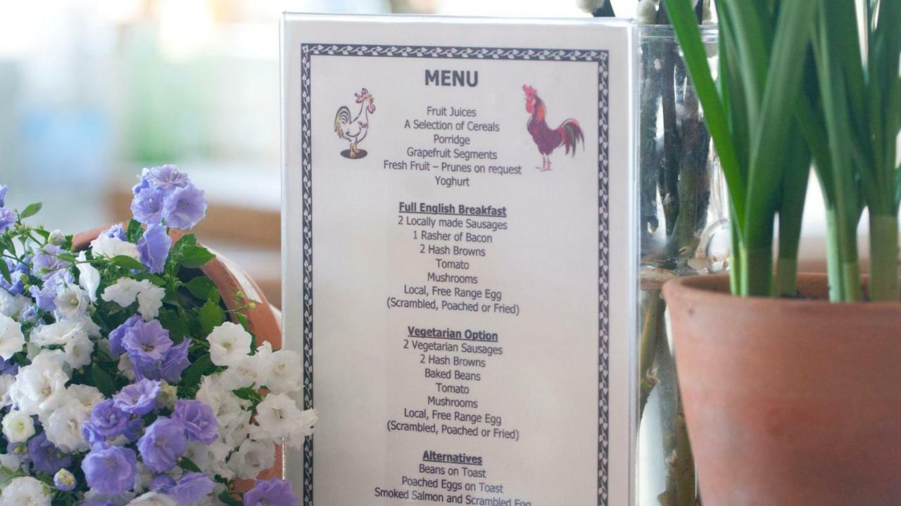 Ammonite Bed & Breakfast 코프 성 외부 사진