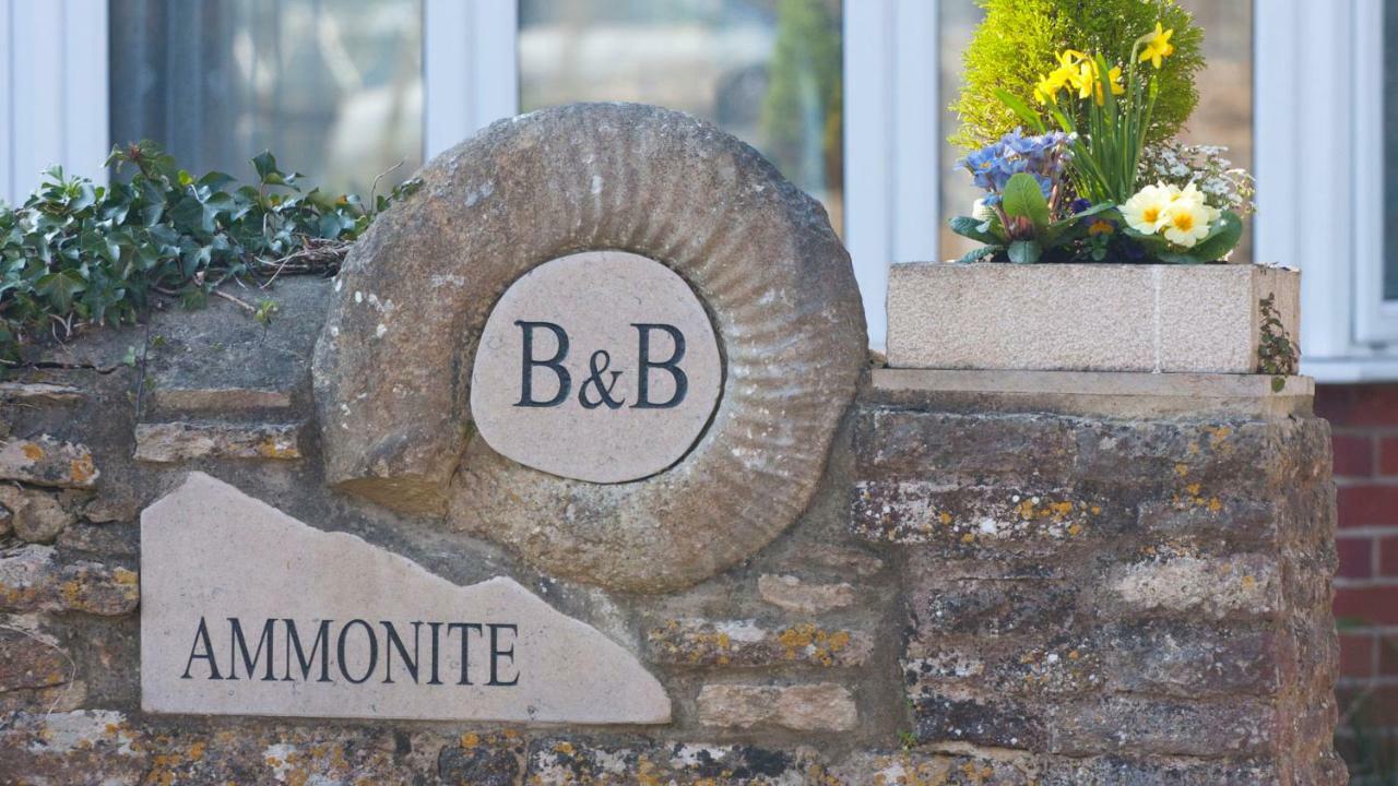 Ammonite Bed & Breakfast 코프 성 외부 사진
